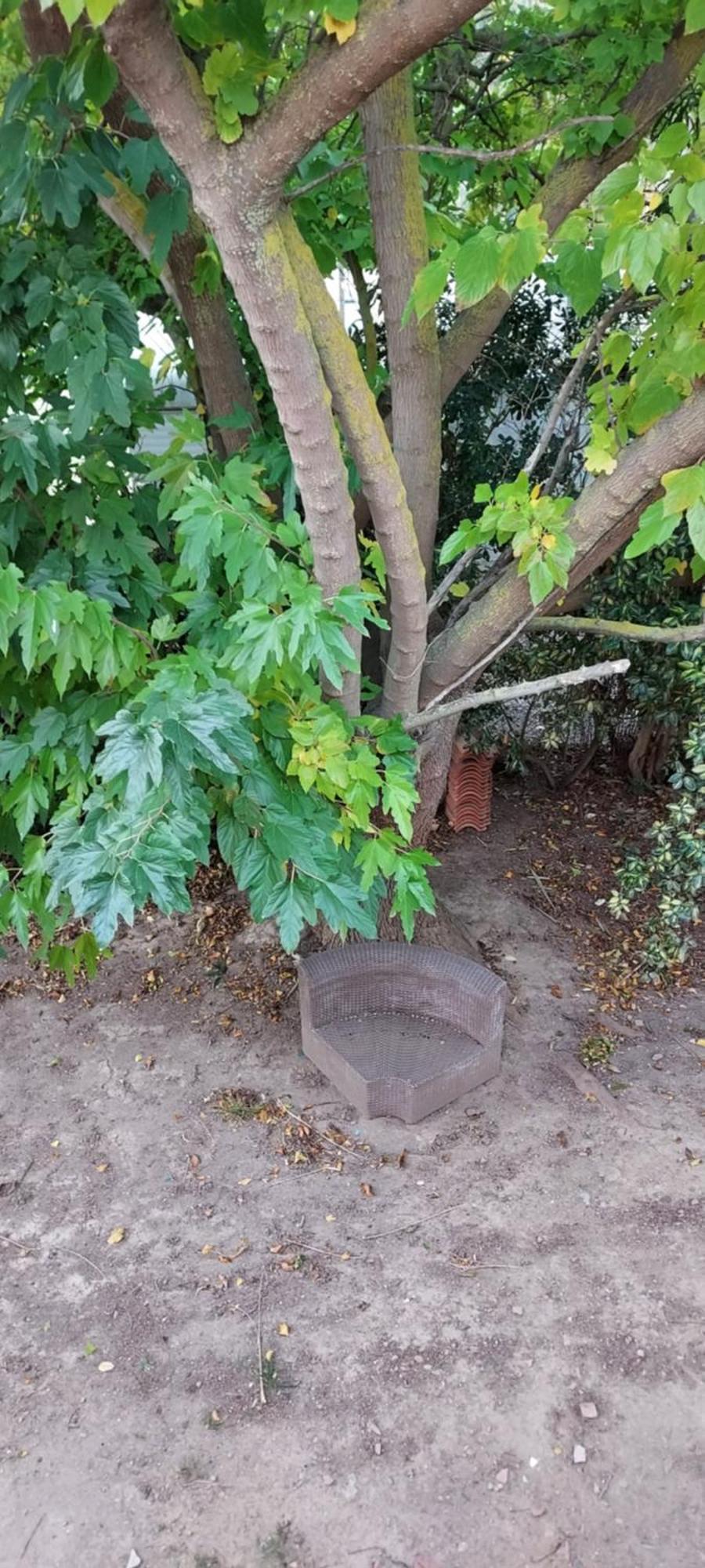 Le Barcares Logement Climatise Pour 6 Personnes, Draps Et Serviettes Non Fournis Air-Conditioned Accommodation For 6 People, Sheets And Towels Not Provided Alojamiento Con Aire Acondicionado Para 6 Personas, Sabanas Y Toallas No Incluidas Extérieur photo